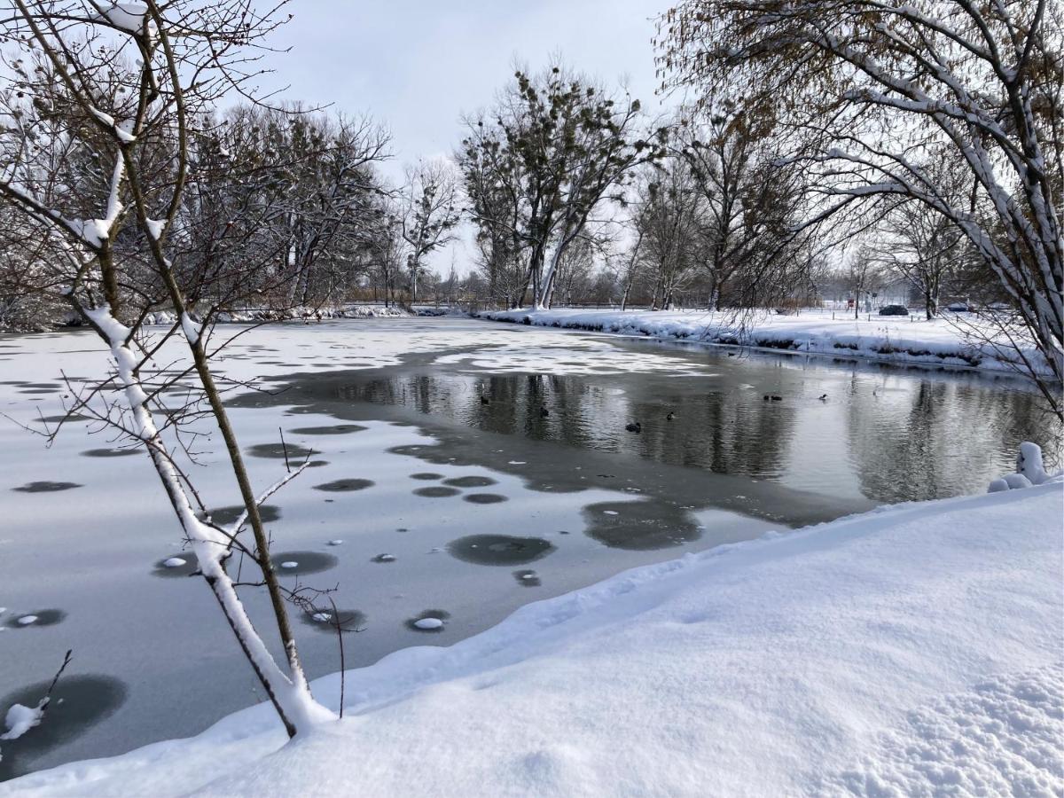 Feriennest Chiemseeglueck Übersee المظهر الخارجي الصورة
